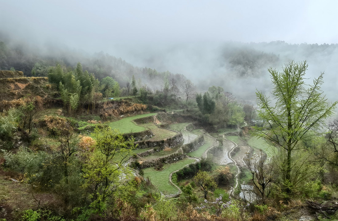 中药材种植-环境.jpg 中药材种植-环境.jpg